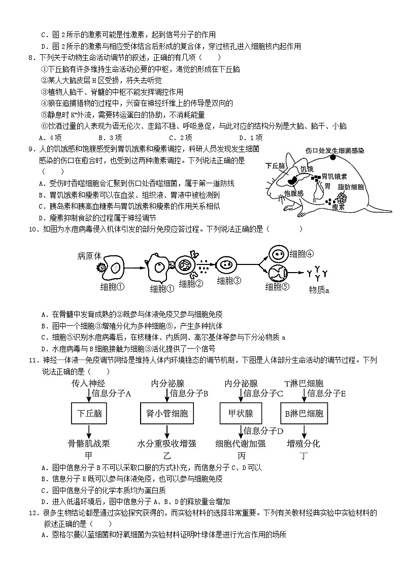 湖北省2025届高三生物下学期5月模拟预测试题第3页