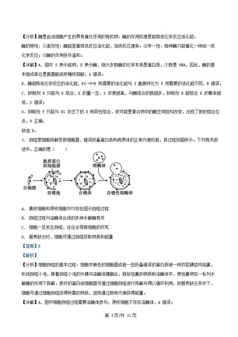 湖南省部分名校2024_2025学年高一生物下学期3月联考试题含解析第3页