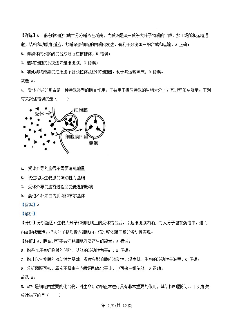 湖南省娄底市涟源市2024_2025学年高一生物下学期3月月考试题含解析第3页