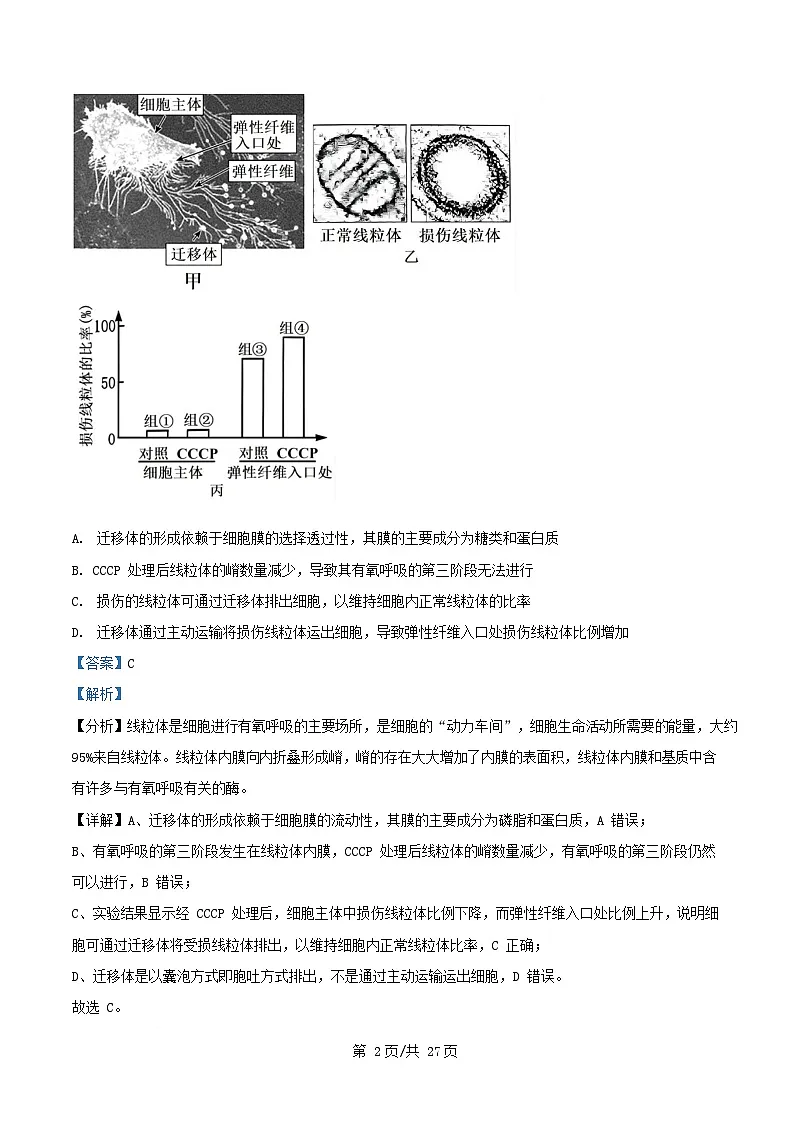 重庆市2024_2025学年高三生物下学期5月适应性月考试卷含解析第2页