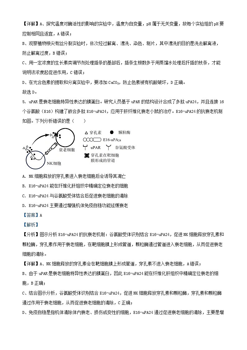 江苏省盐城市2024_2025学年高三生物下学期3月月考试题含解析第3页