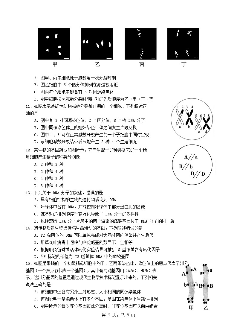 江苏省盐城市2024_2025学年高一生物下学期4月期中联考试题第3页