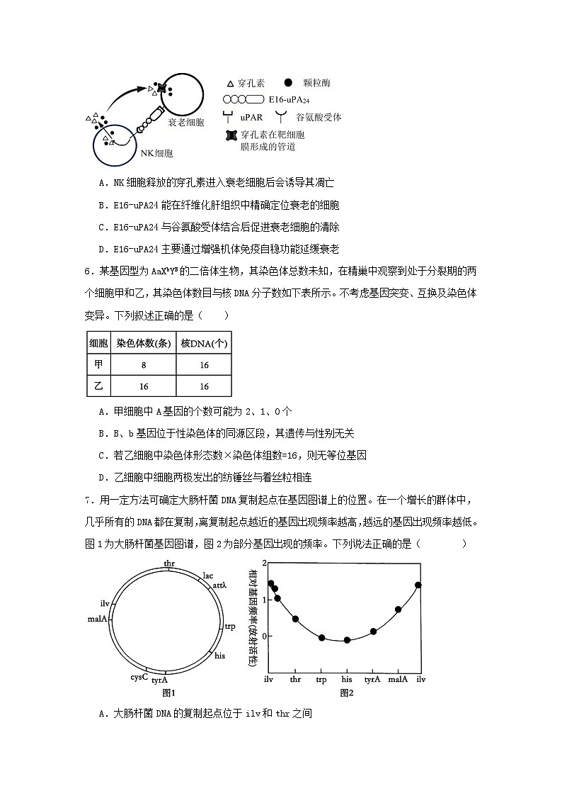 江苏省盐城市2025届高三生物下学期3月月考试题第2页