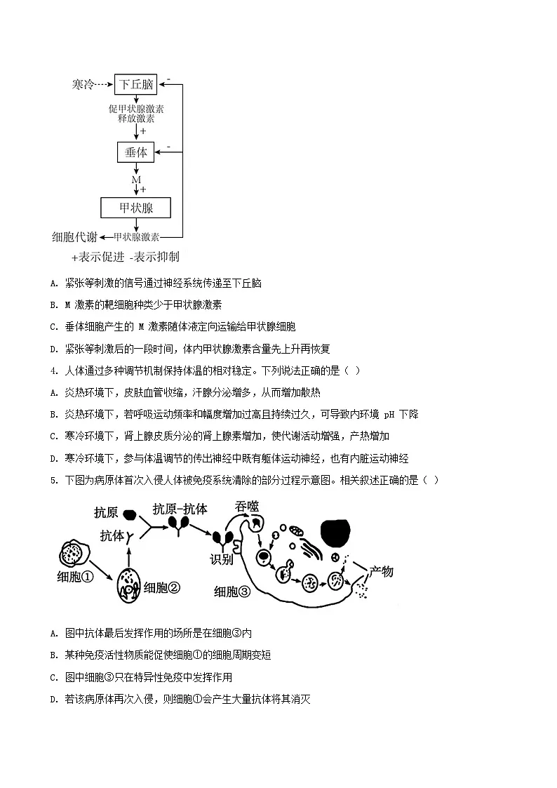 辽宁省丹东市2024_2025学年高二生物上学期期末考试第2页