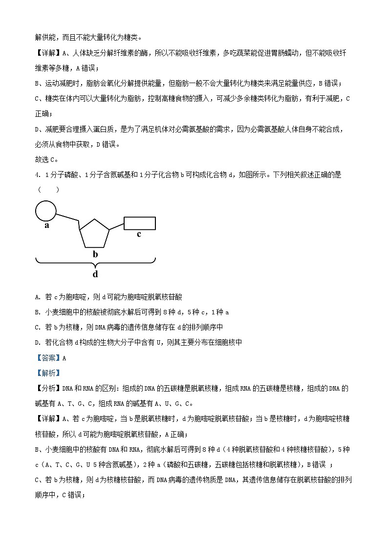 山西省晋中市2024_2025学年高一生物上学期期末调研测试试卷含解析第3页