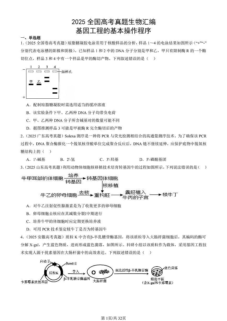 2025全国高考真题生物汇编：基因工程的基本操作程序  有答案解析第1页