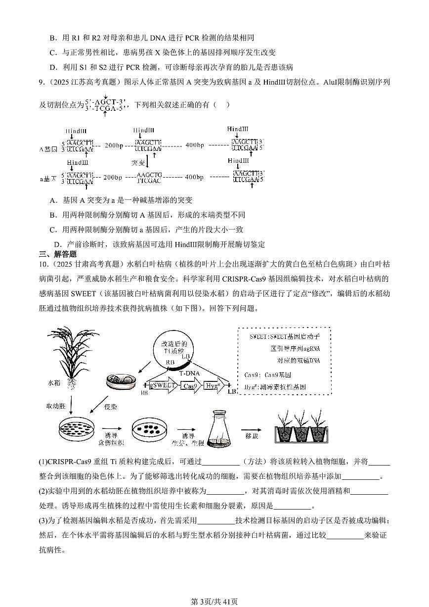 2025全国高考真题生物汇编：基因工程章节综合  有答案解析第3页