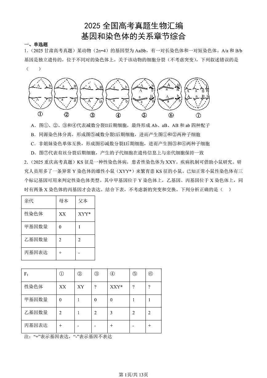 2025全国高考真题生物汇编：基因和染色体的关系章节综合  有答案解析第1页