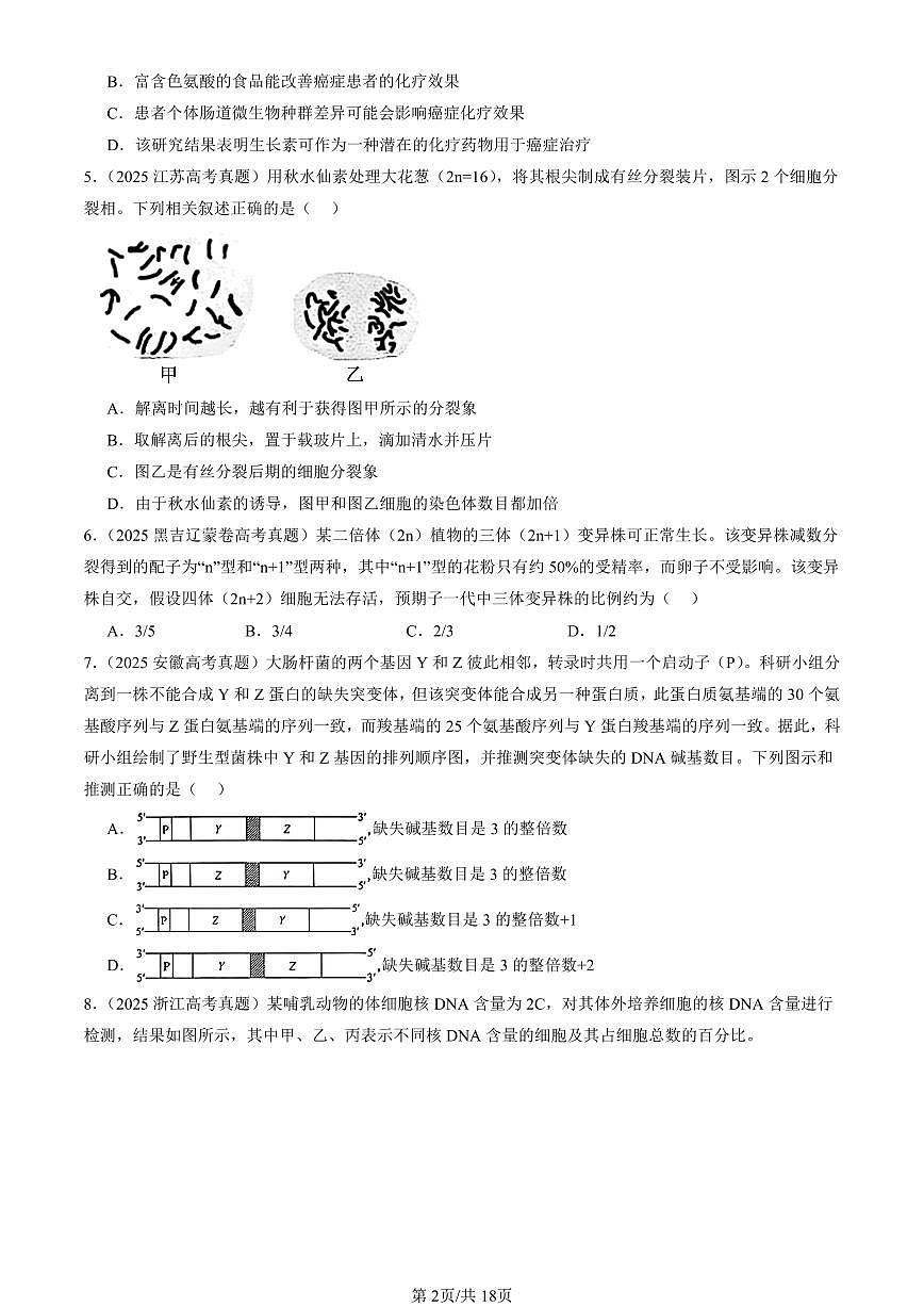 2025全国高考真题生物汇编：基因突变及其它变异章节综合  有答案解析第2页