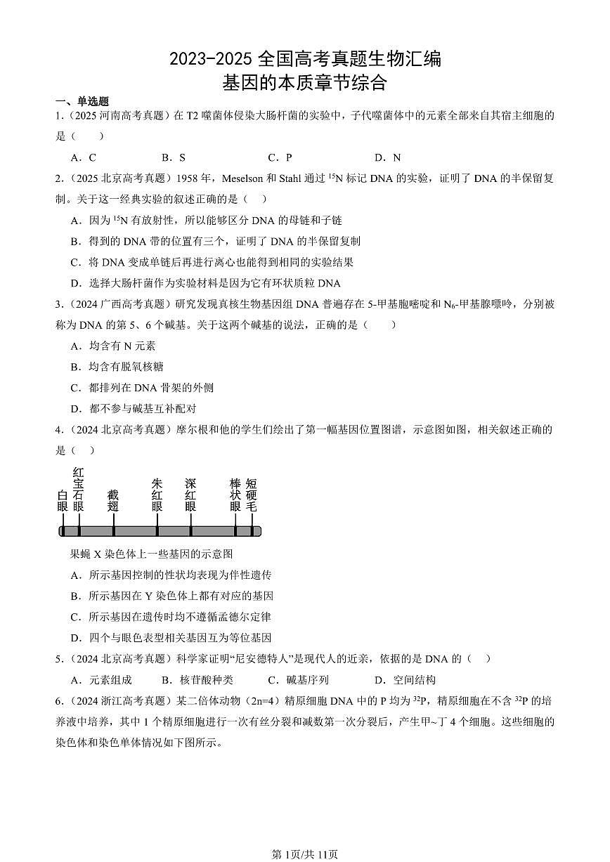 2023-2025全国高考真题生物汇编：基因的本质章节综合  有答案解析第1页