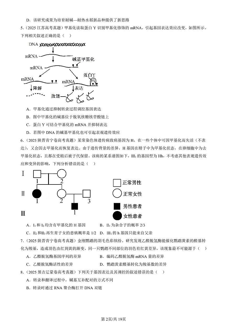 2023-2025全国高考真题生物汇编：基因的表达与性状关系  有答案解析第2页