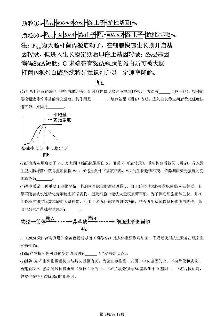 2023-2025全国高考真题生物汇编：基因工程的应用 有答案解析第3页