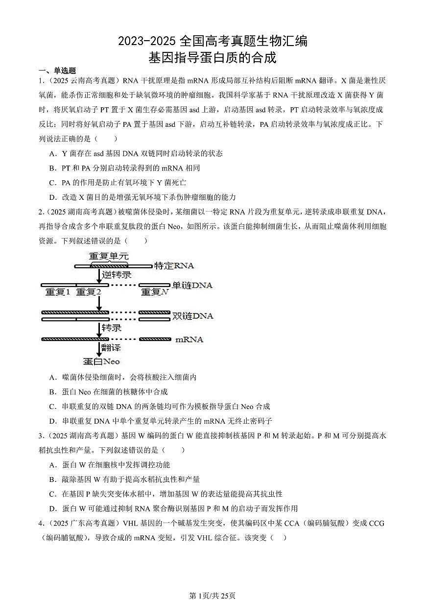 2023-2025全国高考真题生物汇编：基因指导蛋白质的合成  有答案解析第1页