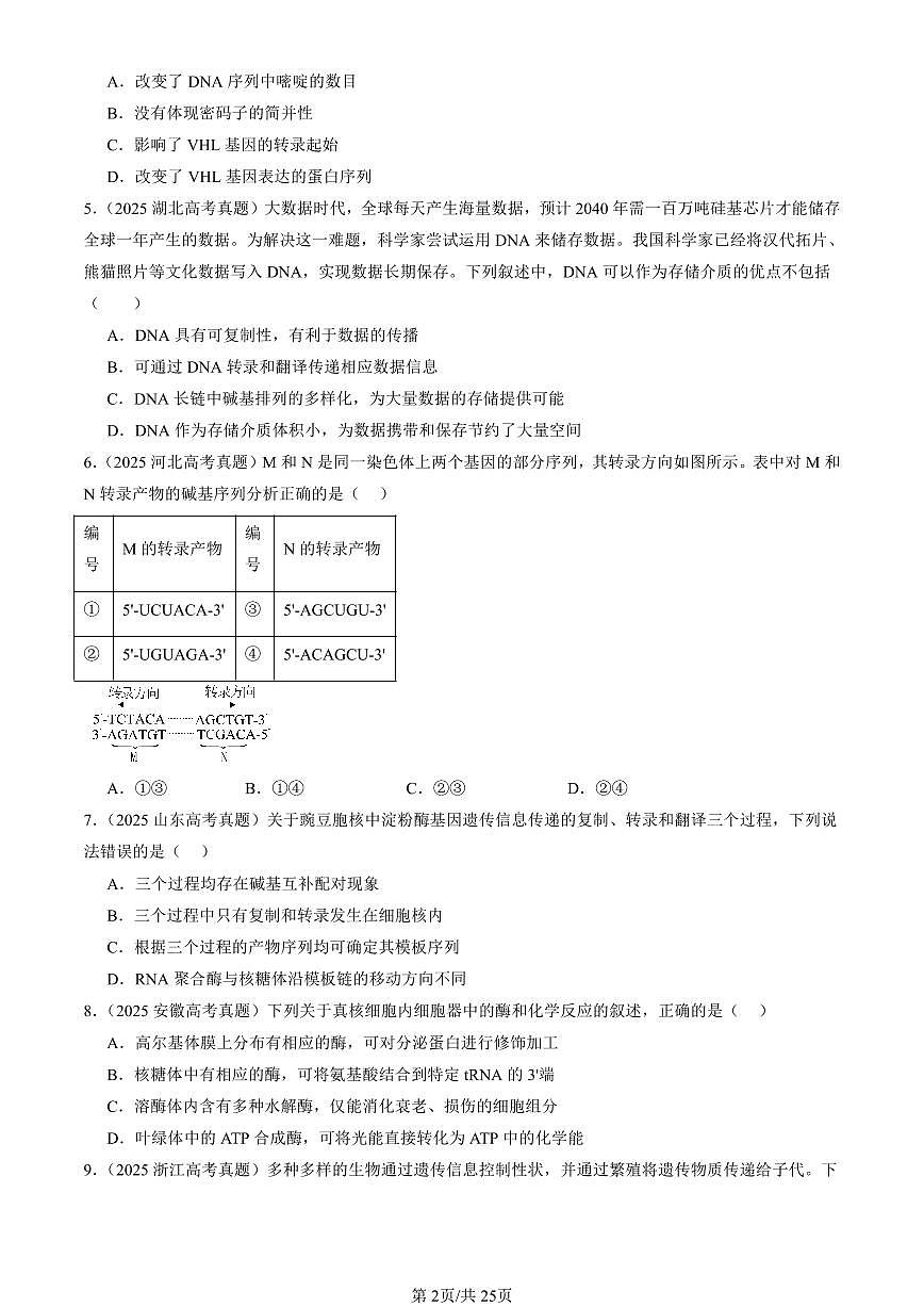 2023-2025全国高考真题生物汇编：基因指导蛋白质的合成  有答案解析第2页