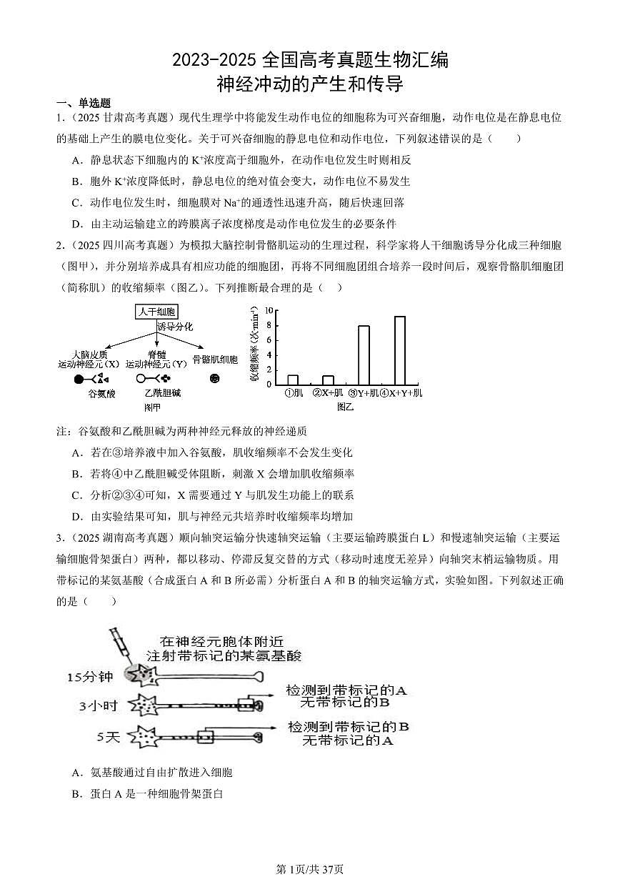 2023-2025全国高考真题生物汇编：神经冲动的产生和传导  有答案解析第1页