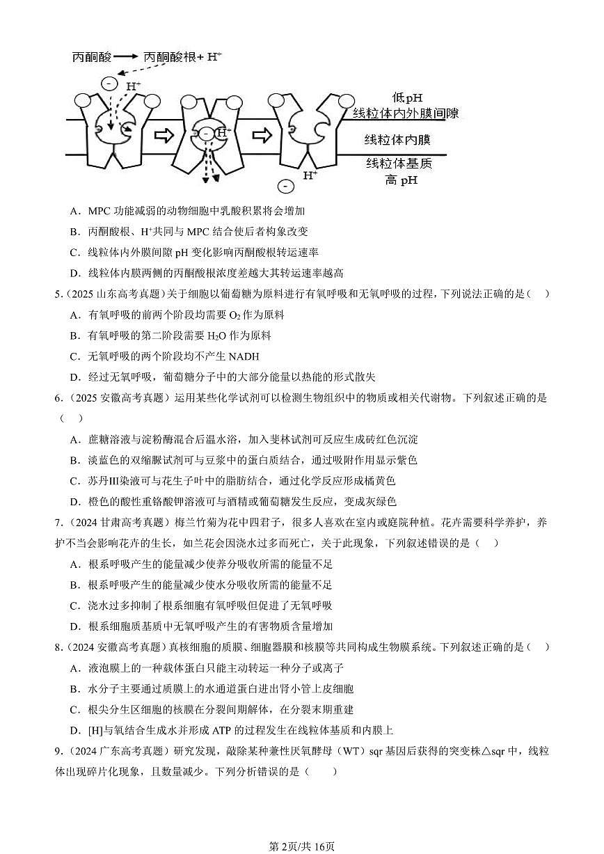 2023-2025全国高考真题生物汇编：细胞呼吸的原理和应用  有答案解析第2页