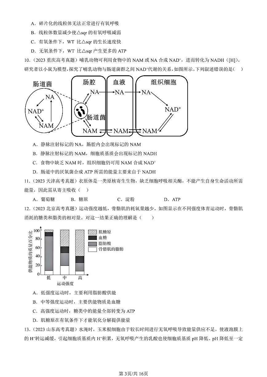 2023-2025全国高考真题生物汇编：细胞呼吸的原理和应用  有答案解析第3页