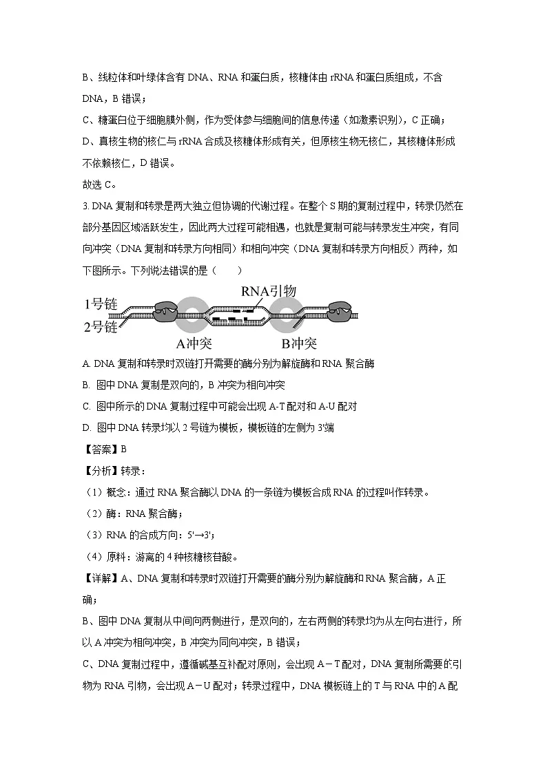 湖南省湘潭市2024-2025学年高二下学期期末质量检测生物试卷（解析版）第2页