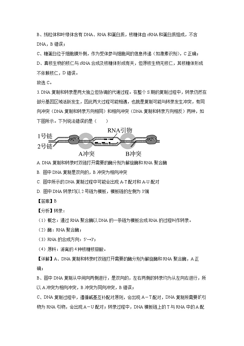 湖南省湘潭市2024-2025学年高二下学期期末质量检测生物试卷（解析版）第2页