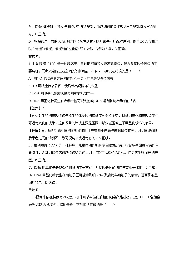 湖南省湘潭市2024-2025学年高二下学期期末质量检测生物试卷（解析版）第3页