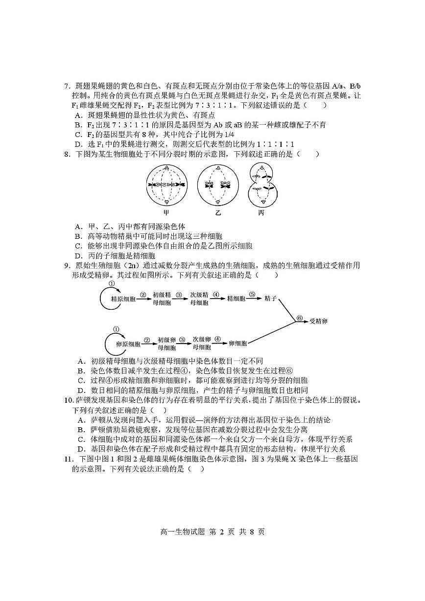 山东省临沂市2024-2025学年高一下学期期中考试生物试题第2页