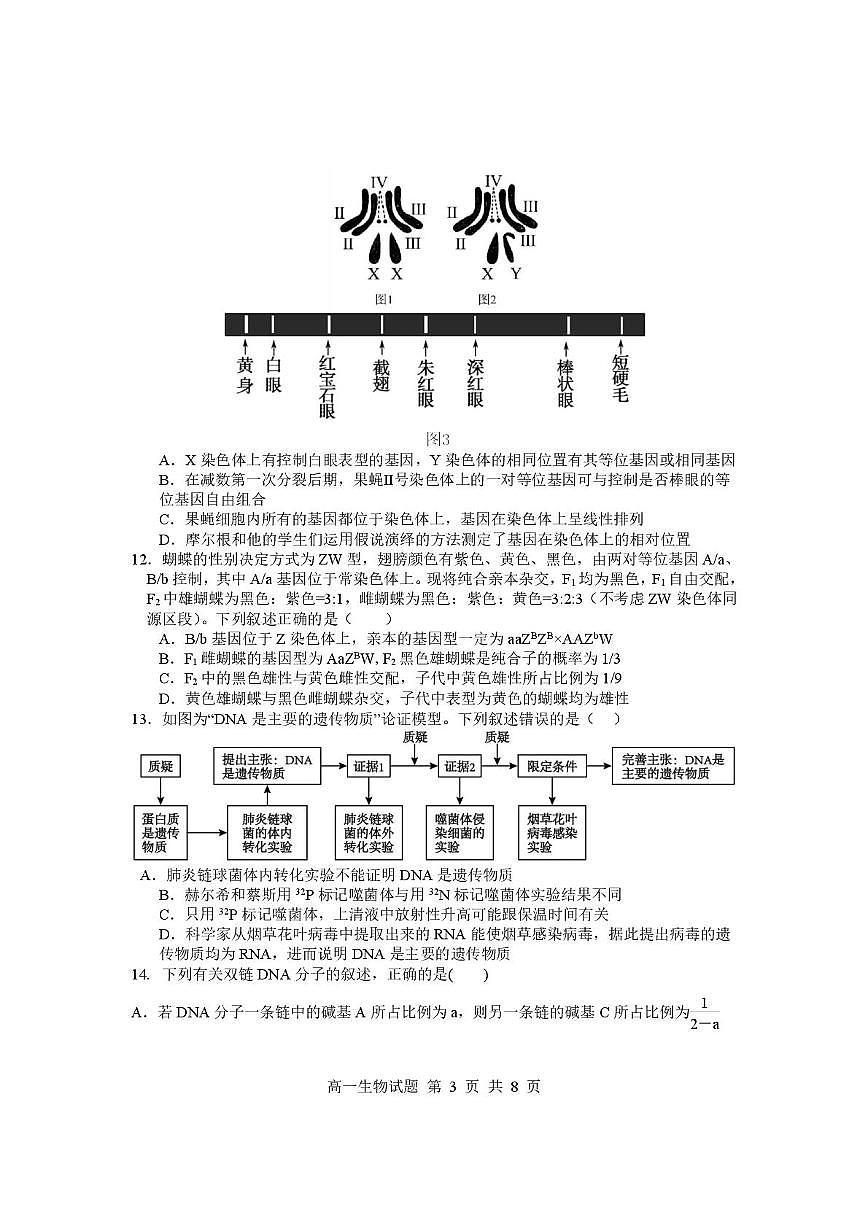 山东省临沂市2024-2025学年高一下学期期中考试生物试题第3页