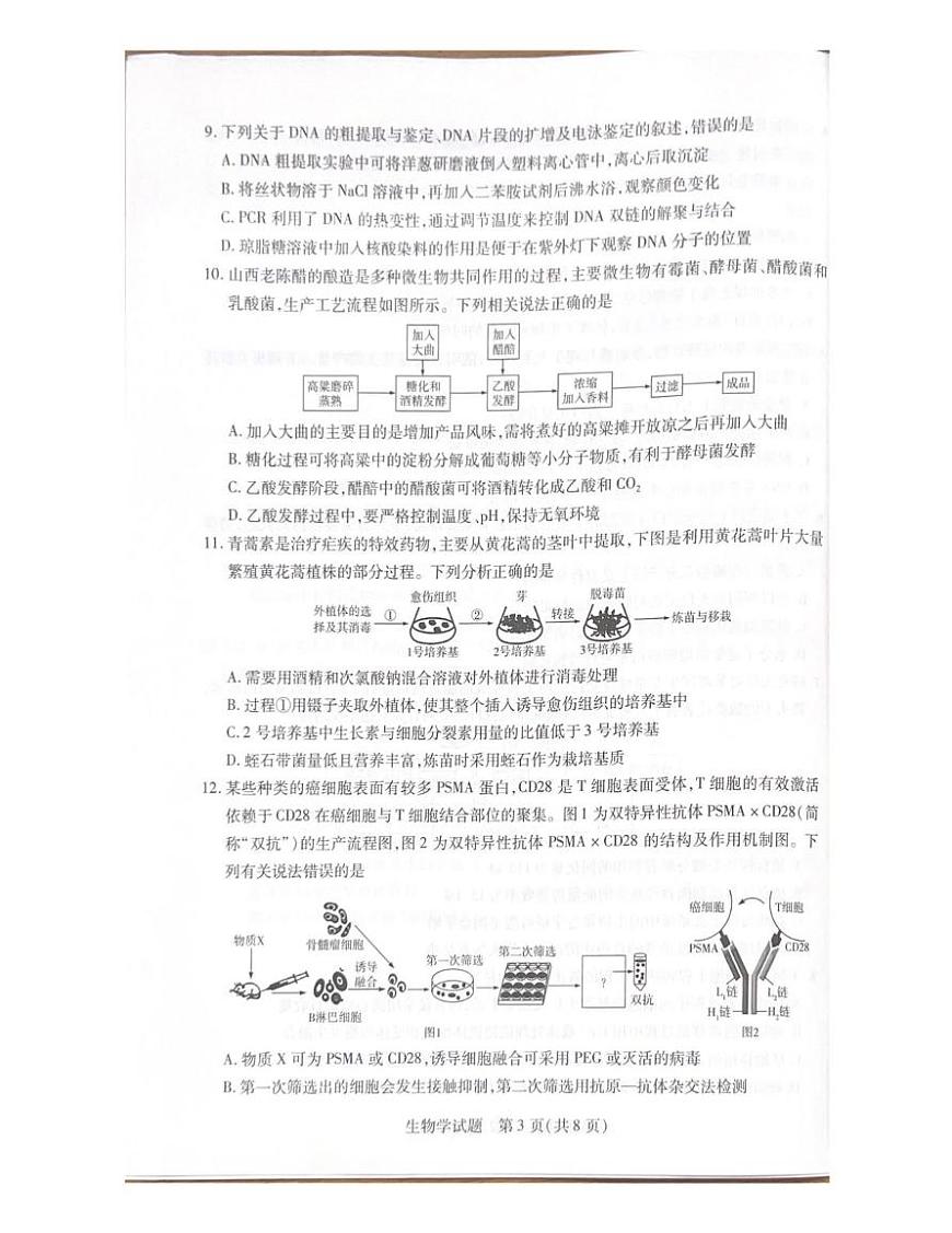 河北省承德市2024-2025学年高二下学期期末考试生物试题（PDF版附解析）第3页