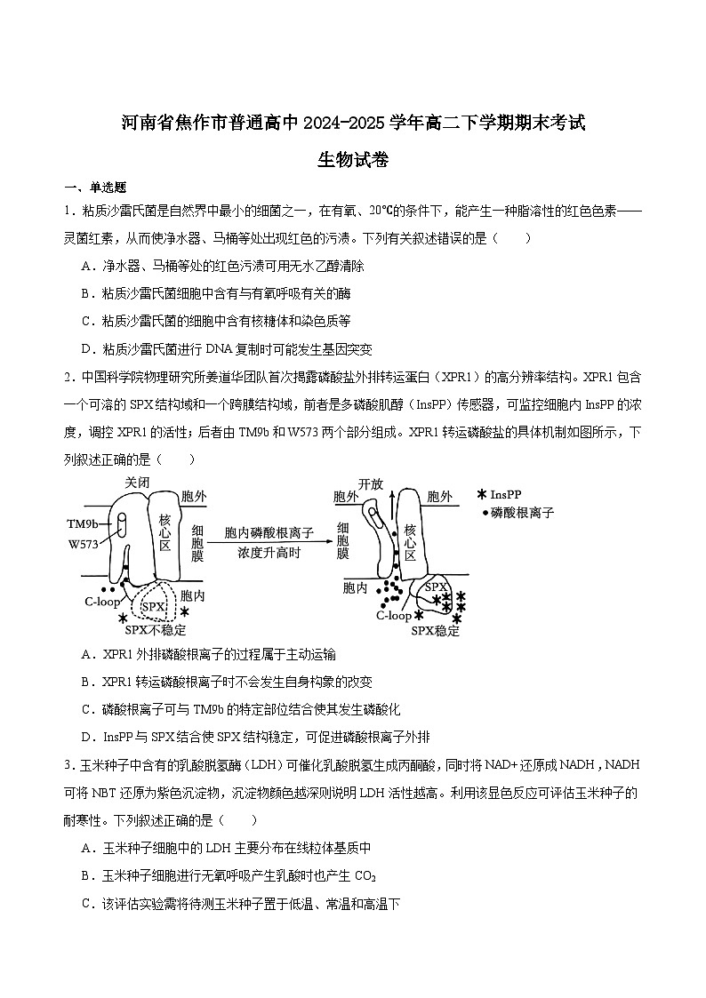 河南省焦作市普通高中2024-2025学年高二下学期期末考试生物试题（Word版附答案）第1页