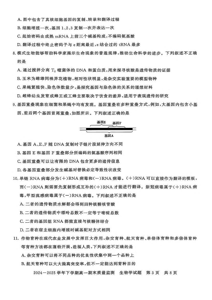 河南省信阳市普通高中2024-2025学年高一下学期期末考试生物试题（PDF版附答案）第3页