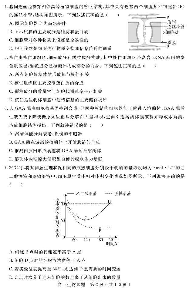 山东省济宁市2024-2025学年高一下学期期末考试生物试题（PDF版附答案）第2页