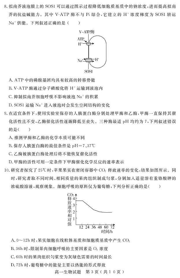 山东省济宁市2024-2025学年高一下学期期末考试生物试题（PDF版附答案）第3页