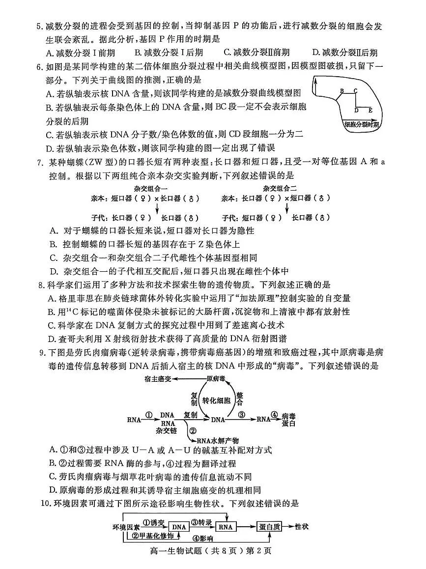 山东省聊城市2024-2025学年高一下学期期末考试生物试题（PDF版附答案）第2页