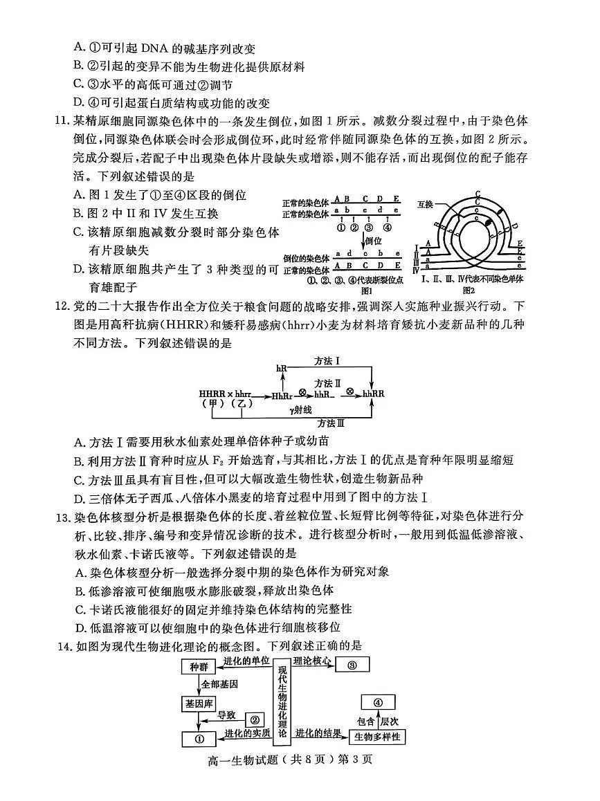 山东省聊城市2024-2025学年高一下学期期末考试生物试题（PDF版附答案）第3页