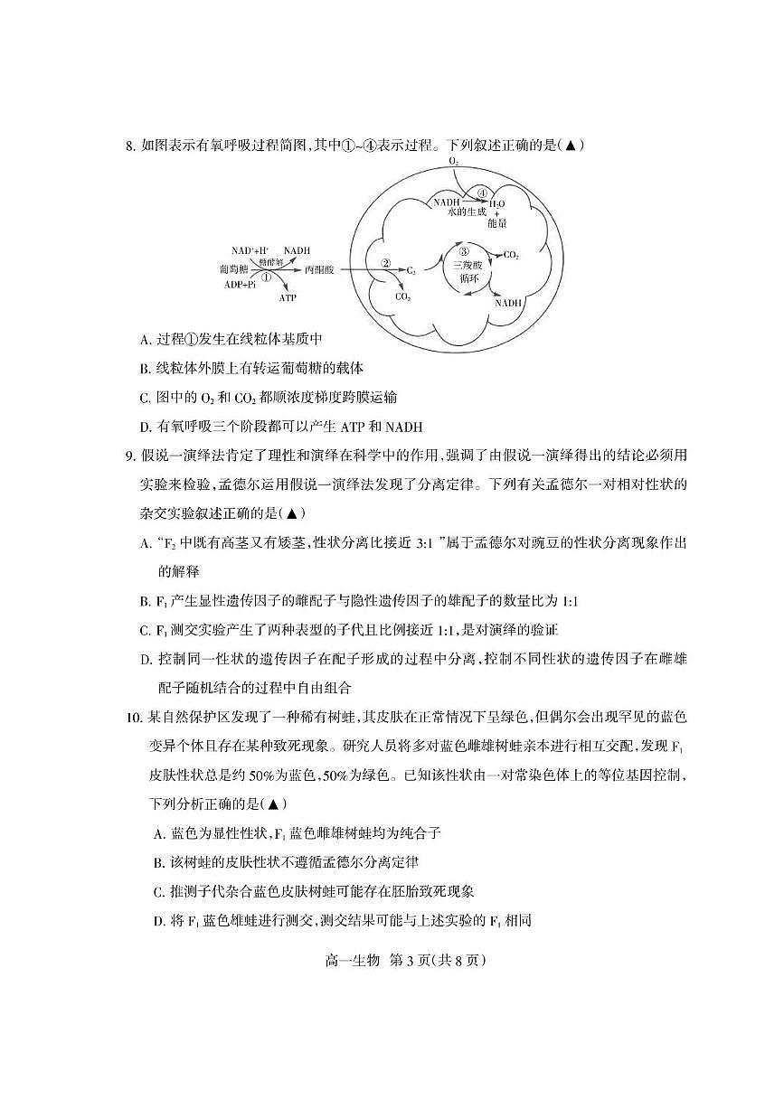 四川省凉山州2024-2025学年高一下学期期末考试生物试题（PDF版附答案）第3页