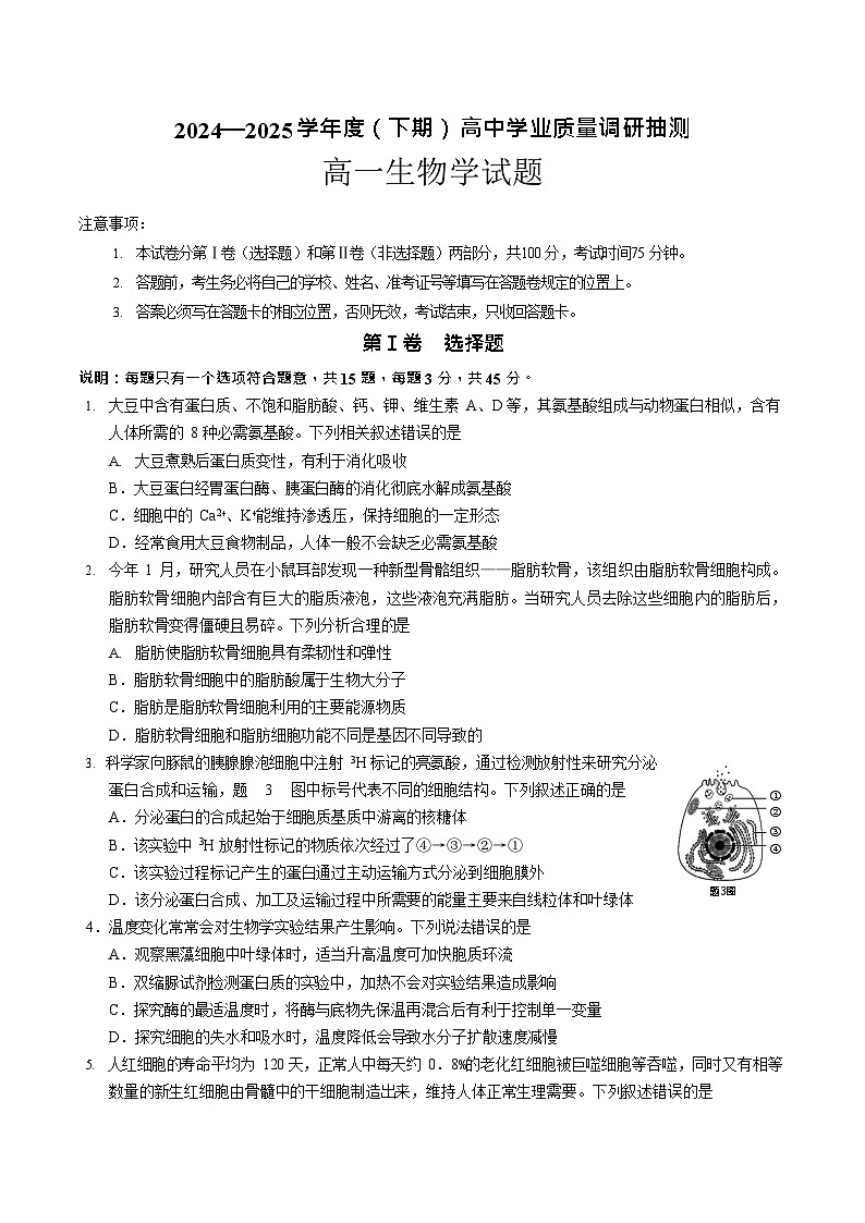 重庆市九龙坡、渝中区等4地2024-2025学年高一下学期期末考试生物试卷第1页