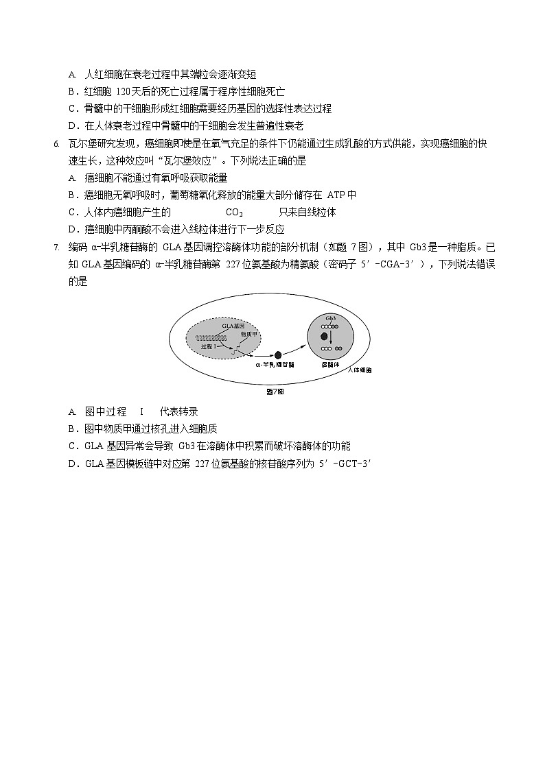 重庆市九龙坡、渝中区等4地2024-2025学年高一下学期期末考试生物试卷第2页