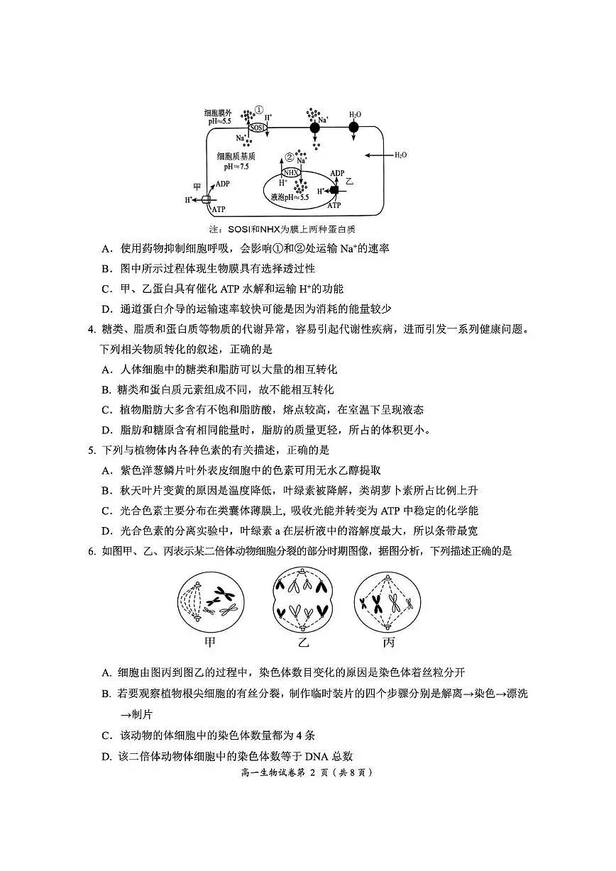 湖北省荆门市2024-2025学年高一下学期期末考试生物试卷（PDF版附解析）第2页