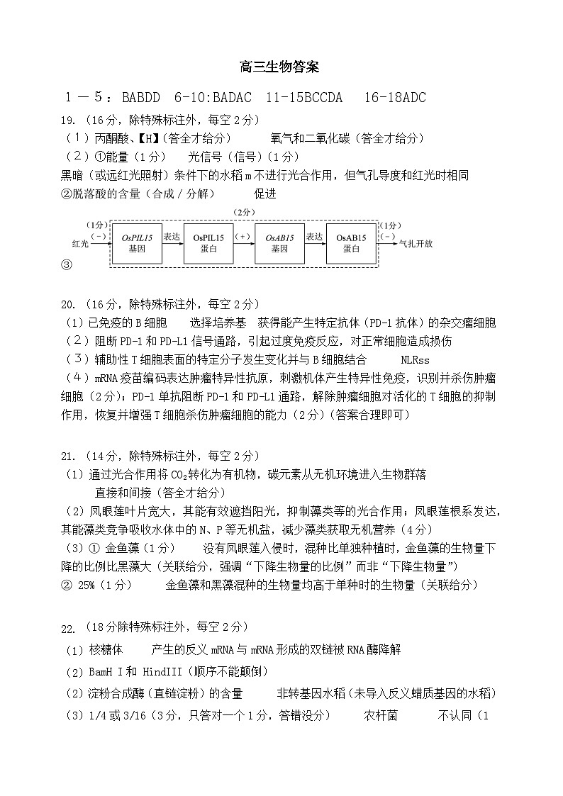 湖北省腾云联盟2025-2026学年度上学期高三年级8月联考 生物答案.docx第1页