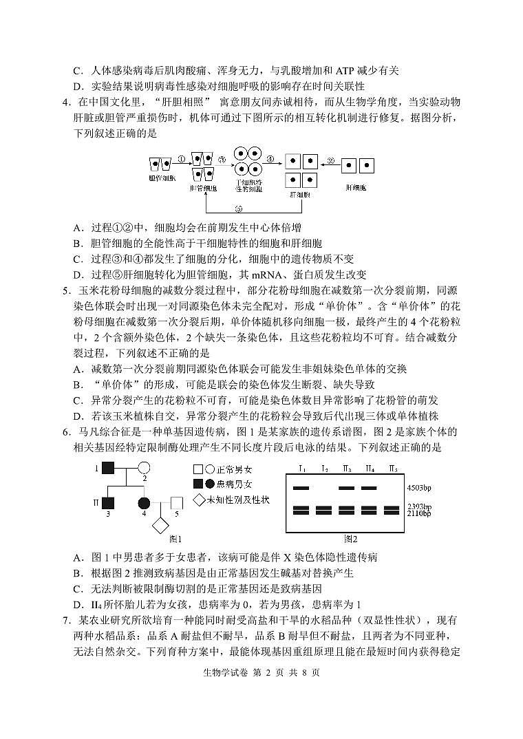 湖北省腾云联盟2025-2026学年度上学期高三年级8月联考 生物.pdf第2页