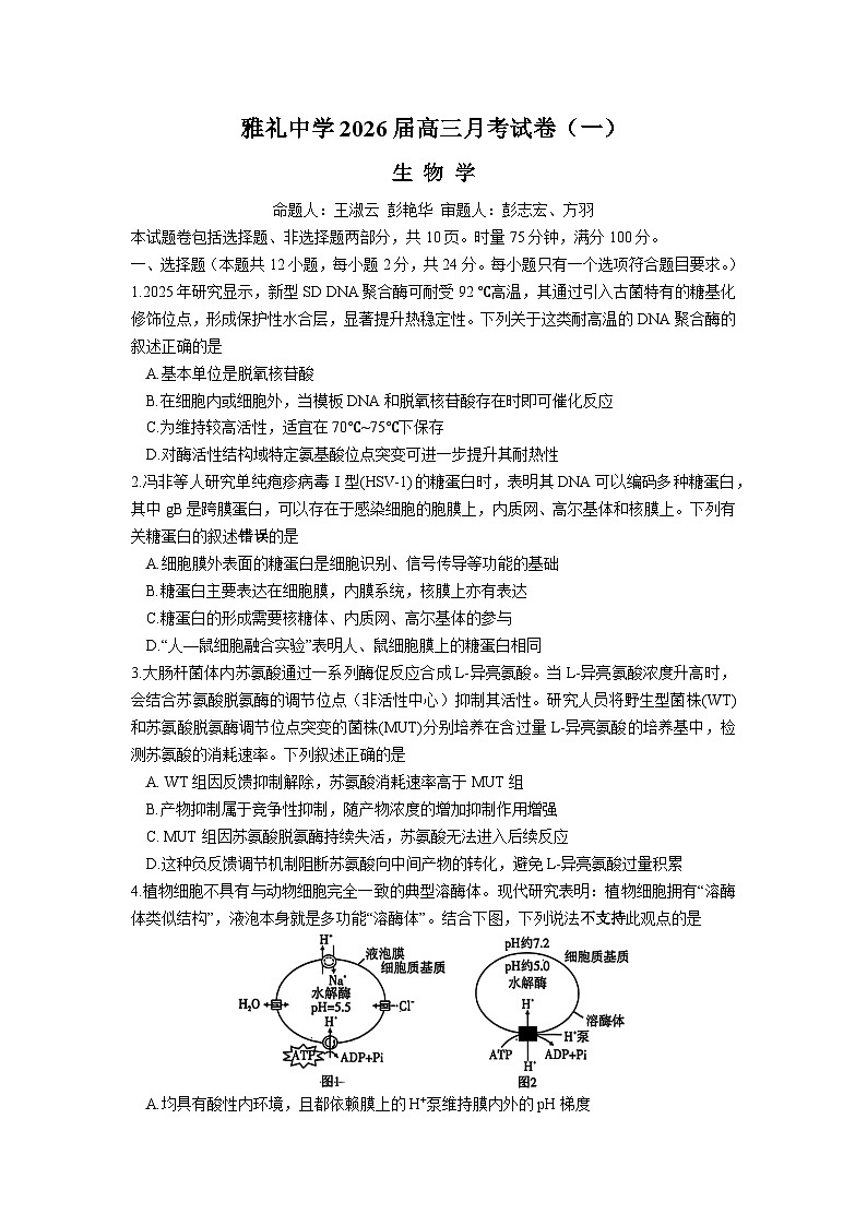 湖南省长沙市雅礼中学2025-2026学年高三上学期开学考试生物试卷（Word版附解析）第1页