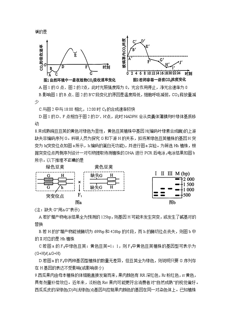 湖南省长沙市雅礼中学2025-2026学年高三上学期开学考试生物试卷（Word版附解析）第3页
