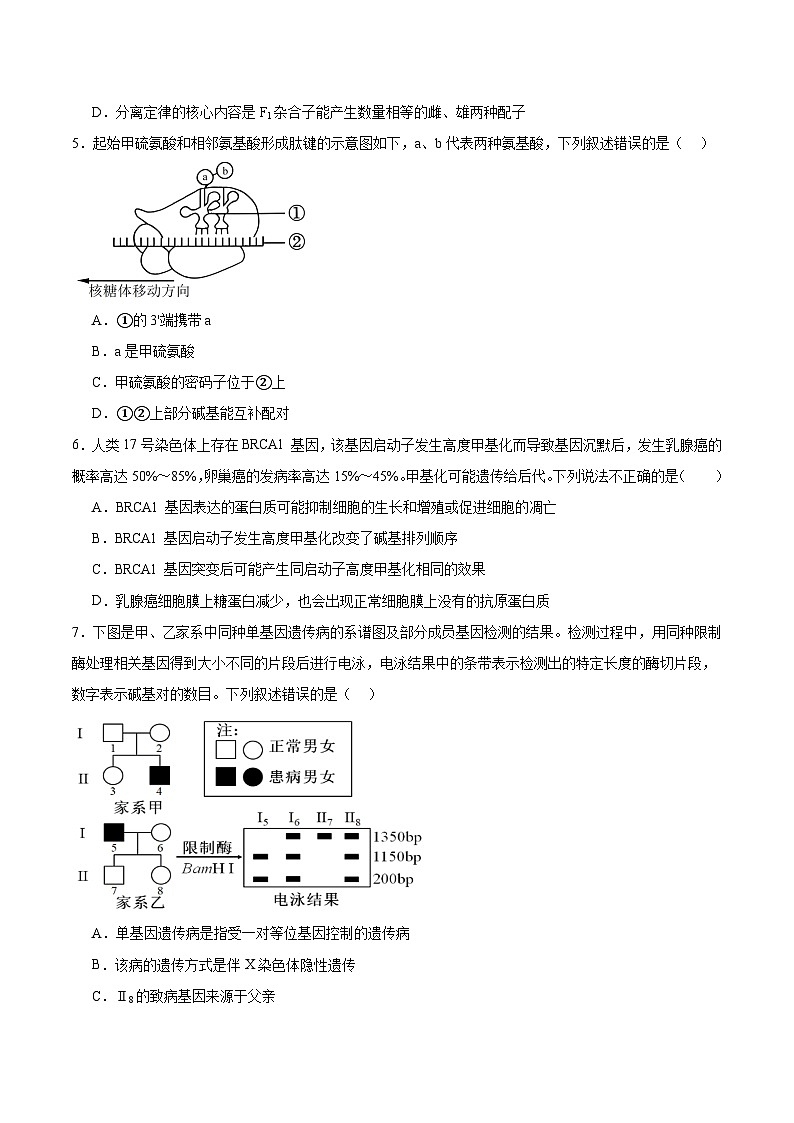 湖南省长沙市长郡中学2026届高三上学期月考（一）生物试卷（Word版附答案）第2页