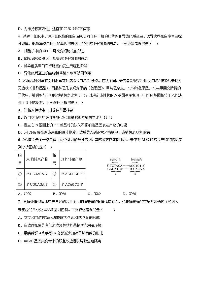 山西省阳泉市第一中学2026届高三上学期8月适应性训练（开学）生物试卷（Word版附答案）第2页