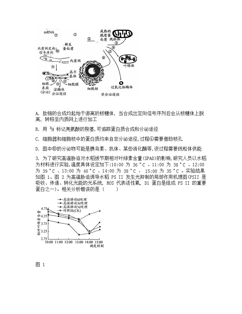 2026届四川省巴中市模拟预测生物试题第2页
