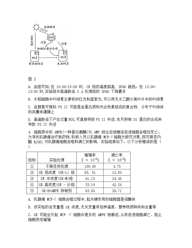 2026届四川省巴中市模拟预测生物试题第3页