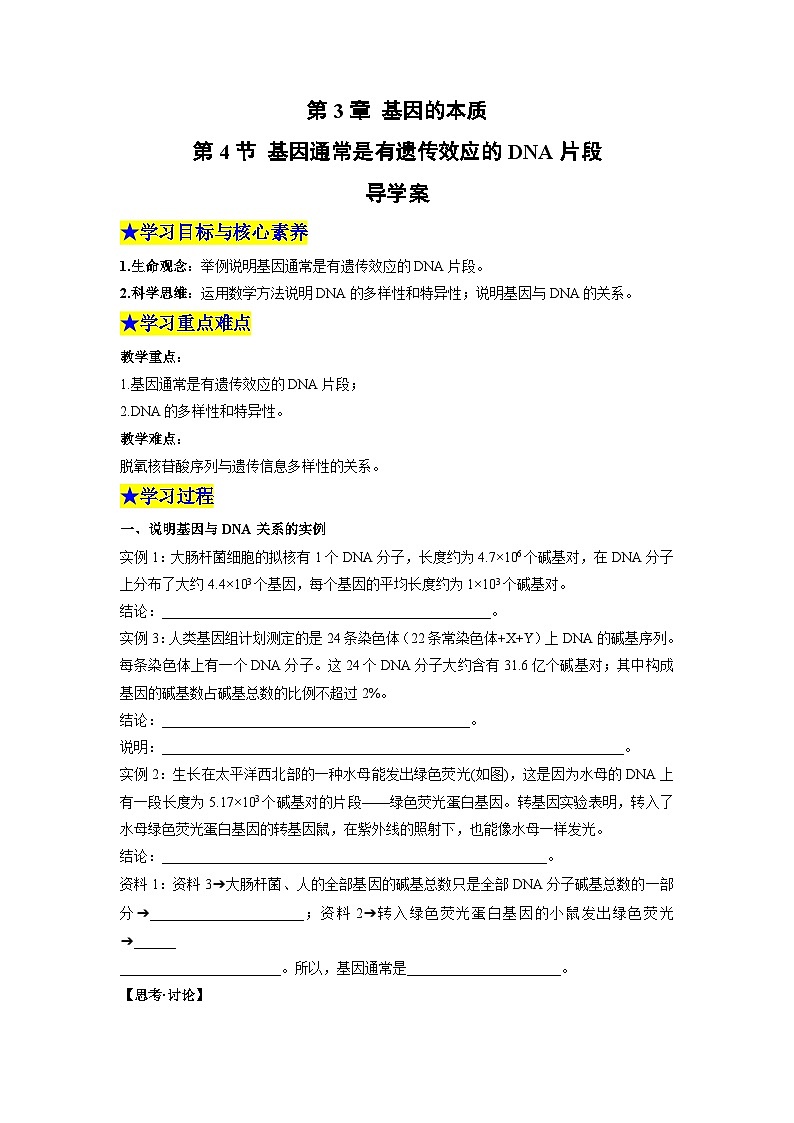 【同步导学】2024-2025学年高中生物高一下册（人教版·2019必修2）学案：3.4 基因通常是有遗传效应的DNA片段  （学生版）第1页