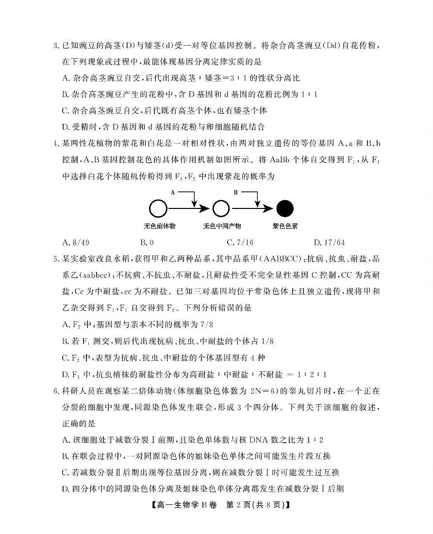 安徽省鼎尖名校2024-2025学年高一下学期5月阶段性检测生物（B）试卷（有解析）第2页