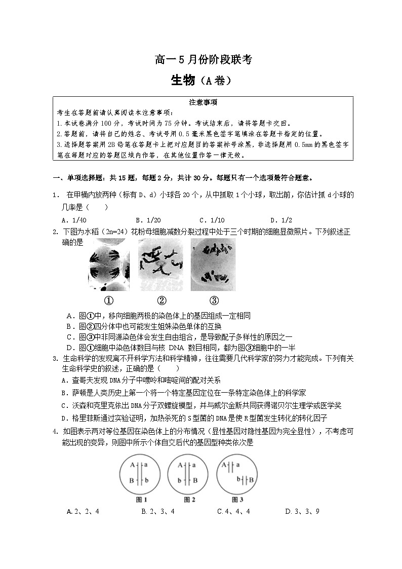 江苏省百校联考2024-2025学年高一下学期5月月考生物试卷第1页