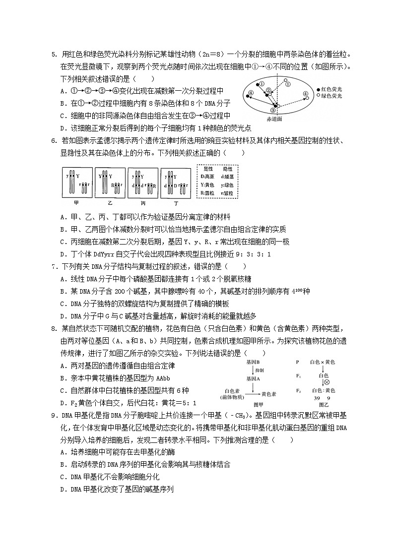 江苏省百校联考2024-2025学年高一下学期5月月考生物试卷第2页