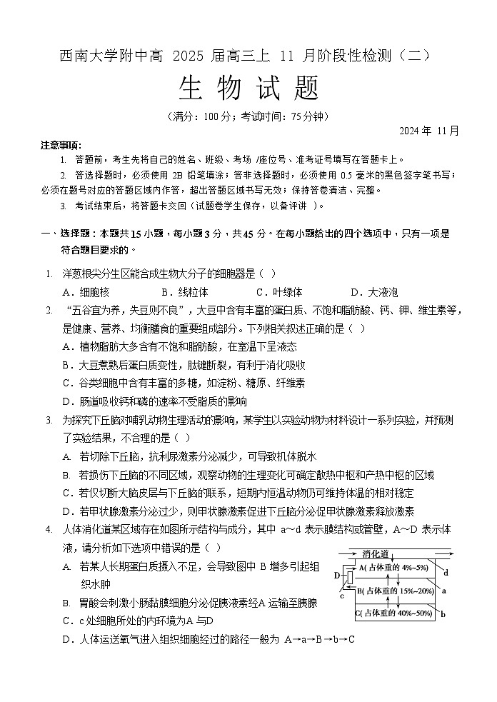 重庆市西南大学附属中学校2024-2025学年高三上学期11月阶段性检测（二）生物试卷第1页